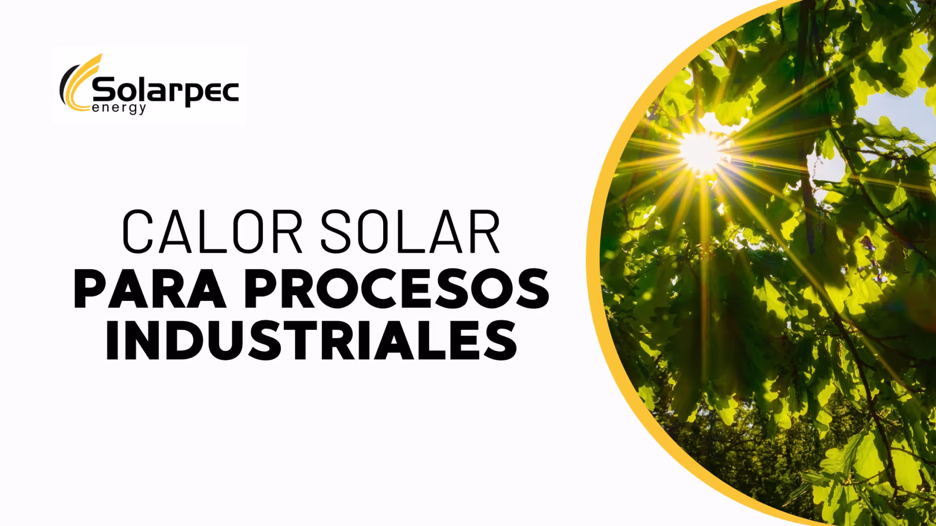 Calor solar para procesos industriales, aplicaciones y oportunidades para las empresas