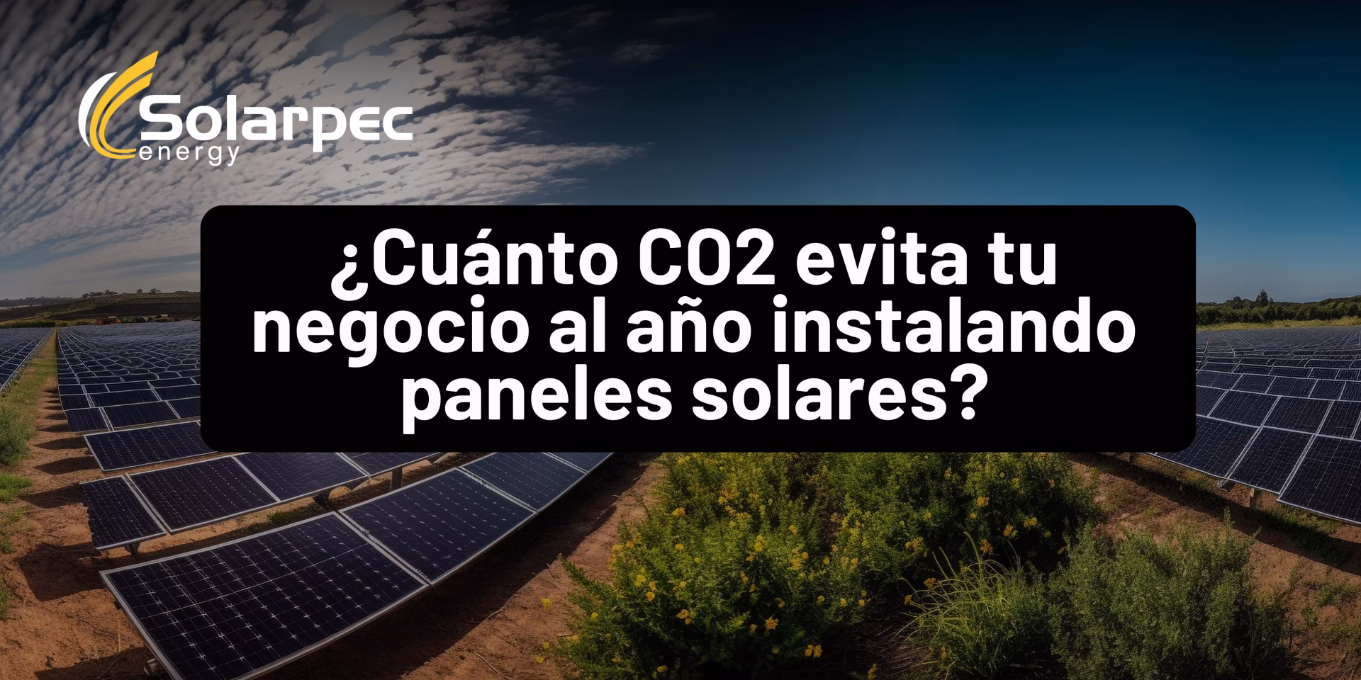 ¿Cuánto CO2 evita tu negocio al año instalando paneles solares?